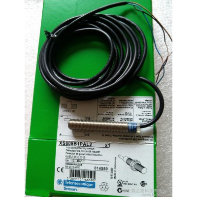 施耐德XCK-N2110P20C限位開(kāi)關(guān)，塑料