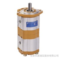 供應(yīng)合肥長(zhǎng)源 CBWL-E320/E308-TFZL 工程起重機(jī)齒輪泵  工程元件 輪馬達(dá),液壓閥,液壓油缸,液壓元件