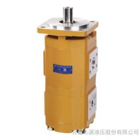 合肥長(zhǎng)源CBG2040/2040-BF**非開(kāi)挖鉆機(jī)齒輪泵 雙聯(lián)齒輪泵,齒輪馬達(dá),液壓閥,液壓油缸,液壓元件