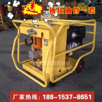 思拓瑞克ST13-30 液壓動(dòng)力站石家莊欒城液壓動(dòng)力站廠家供應(yīng)百利通13馬力液壓泵贈(zèng)站送油管標(biāo)準(zhǔn)快速接頭好匹配