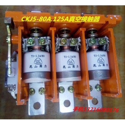 樂清新迪電氣有限公司供應CKJ5-125A