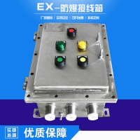 中沈防爆 不銹鋼防爆配電柜供應(yīng)廠家四川那里有防爆不銹鋼控制柜6008002001000800300 防爆等級bt6ct6