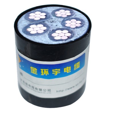 金環(huán)宇電纜 yjv電力電纜 國(guó)標(biāo)ZCN-YJ