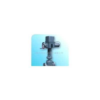 69.ZAZP、ZAZM電動(dòng)精小型單座、套筒