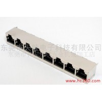 供應廣東省**制造商大量生產RJ45屏蔽聯(lián)體網絡插座連接器 提供2x8網絡插座