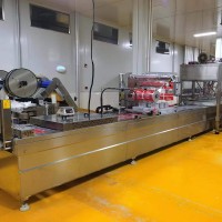 山東厚德熱銷真空拉伸膜食品包裝機(jī)   食品包裝設(shè)備