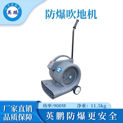 英鵬防爆吹地機(jī)-900W