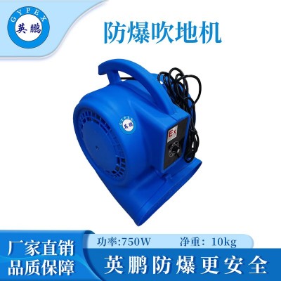 英鵬防爆吹地機(jī)-1100W升級款