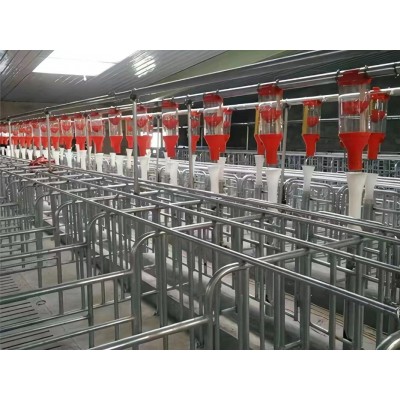 豬場自動化喂料線 篩盤輸送飼料 驅