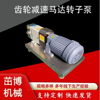 不銹鋼凸輪轉(zhuǎn)子泵