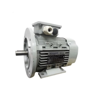 德國ac-motoren FCPA 71B-4電機(jī)